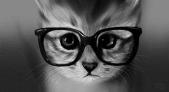 Funny-Cat-Glasses-Wallpaper